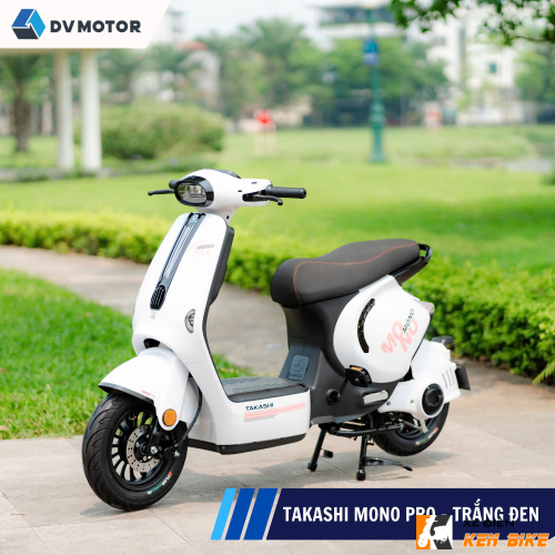 Xe điện Takashi Mono Pro màu xám mờ