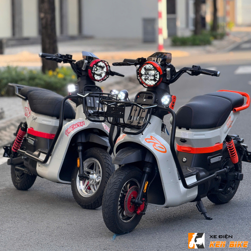 Xe đạp điện Type 3 pro custom - Xám