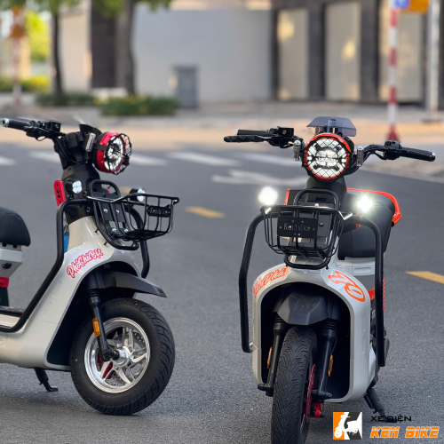 Xe đạp điện Type 3 pro custom - Xám