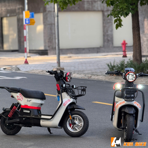 Xe đạp điện Type 3 pro custom - Xám
