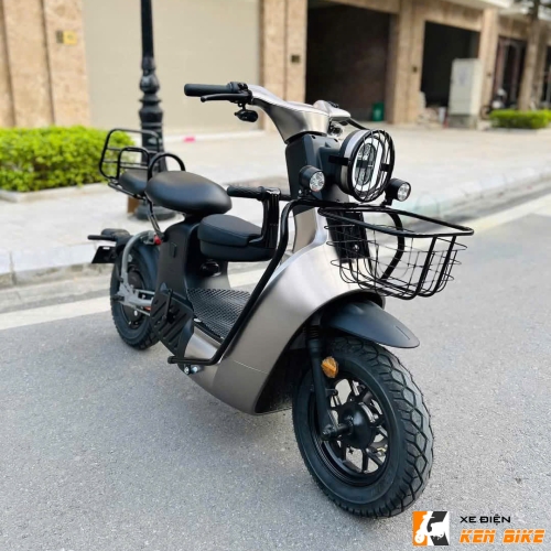 Xe Điện Type 2 Discovery Xám TiTan