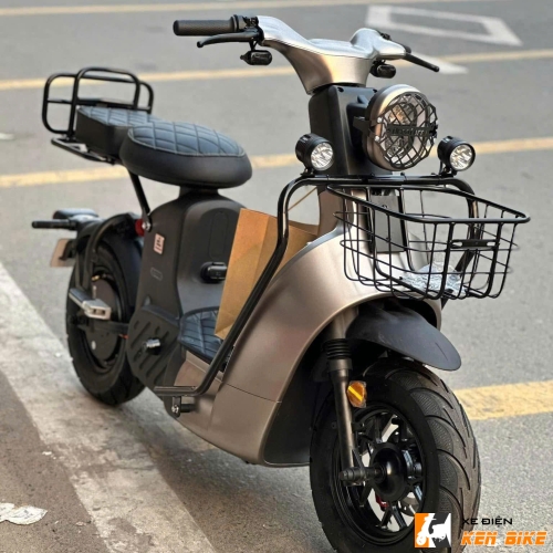 Xe Điện Type 2 Discovery Xám TiTan