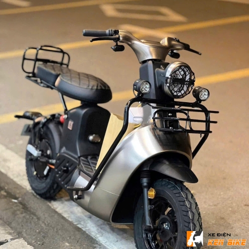 Xe Điện Type 2 Discovery Xám TiTan