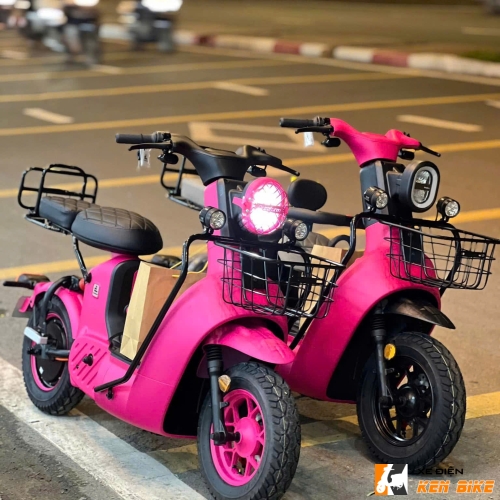Xe Điện Type 2 Discovery BlackPink