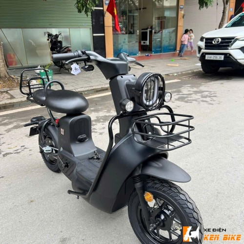 Xe Điện Type 2 Discovery Black Edition 