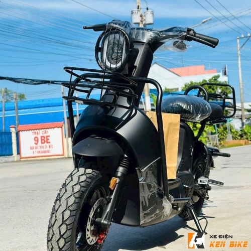 Xe Điện Type 2 Discovery Black Edition 