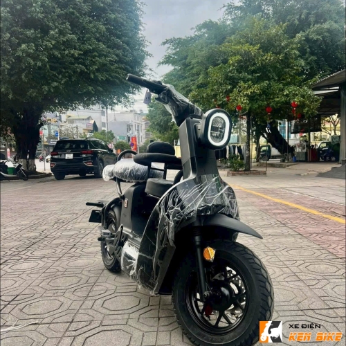 Xe Điện Type 2 Discovery Black Edition 