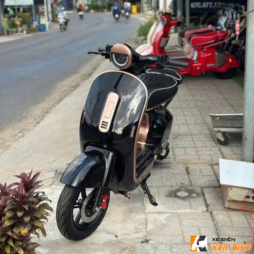 Xe điện Dylexe X1 màu đen huyền bí 